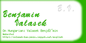 benjamin valasek business card